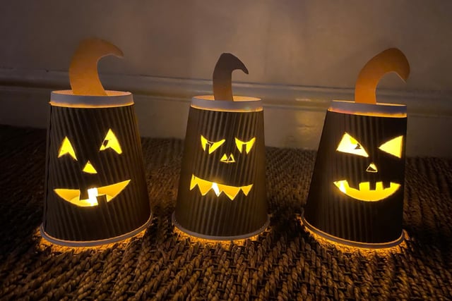 Radford Park brings nature and Halloween together with bat walk