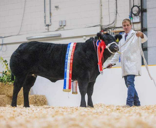 The finest of primestock is heading to AGRIFEST