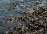 Call for action on ‘chronic’ Kingsbridge sewage problems
