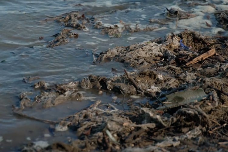 Sewage washed up on a UK beach. Credit: BBC Panorama/LDRS