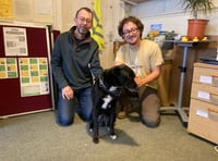 Transition Town Totnes works to help the community