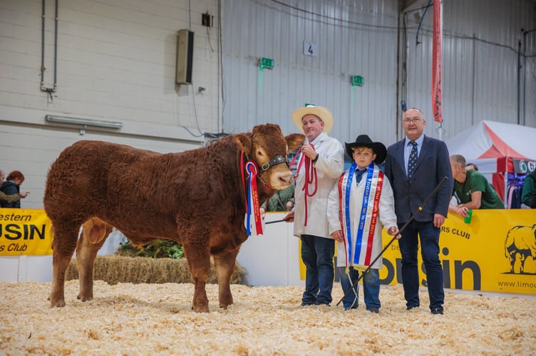 Young Bull of the Year won by Arradfoot & Newland Pedigree Livestock with British Limousin Arradfoot Ultimate