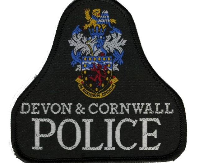 Elderly woman badly hurt in Totnes crash