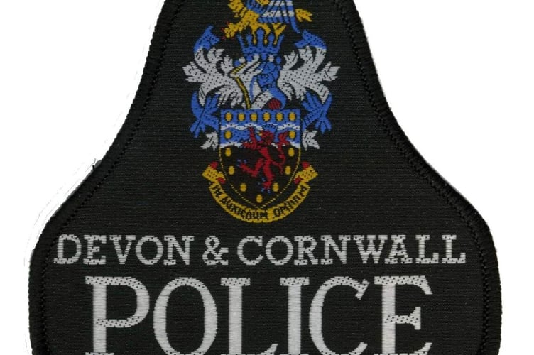Police are appealing for witnesses who may have seen the collision, which happened last Sunday, November 10