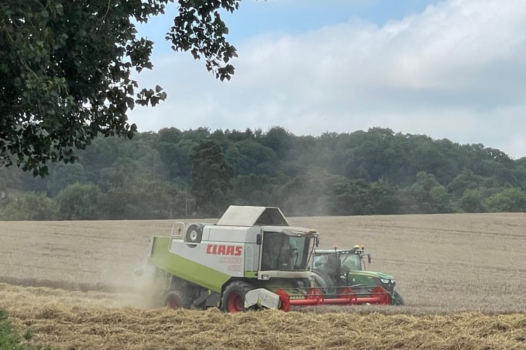 A combine harvester and tractor during harvesting in a field near Crediton.  AQ 3864
