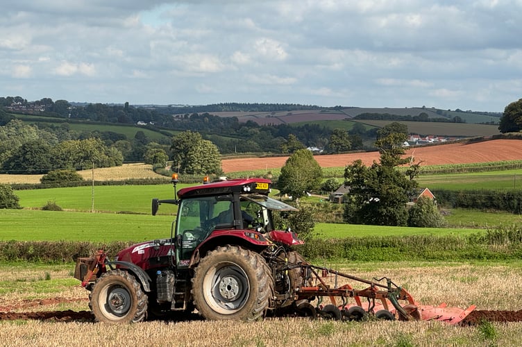 Ploughing in a field near Crediton.  AQ 4598
