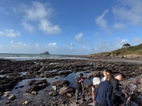 Creative writing workshops in the South Hams