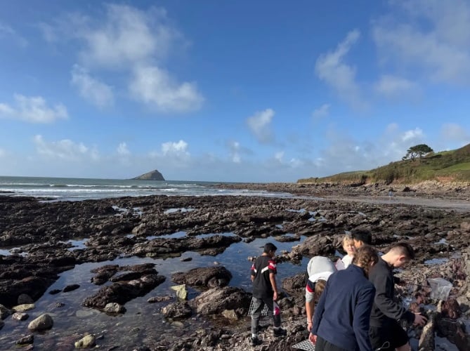Students at Wembury Bay in South Devon, which is a magnet for wildlife