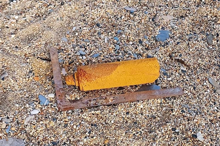 A member of the public who stumbled on the anti-personnel mine raised the alert