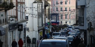 Man arrested in Totnes on suspicion of causing criminal damage