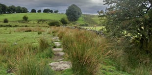Caroline Snow | Restoring Nature in our National Parks