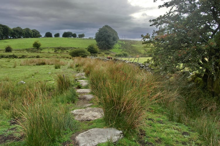 Dartmoor- Image by Alice_Alphabet from Pixabay