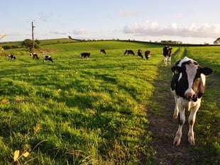 Sort out ‘tax dodge’ farmers’ call from Devon MPs