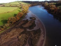 Turning the tide on salt marsh loss 