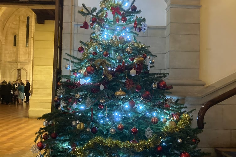 One of several Christmas trees