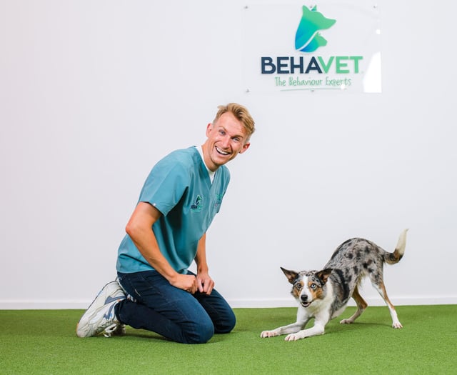 Devon vet fetches UK’s most dog-friendly vet practice
