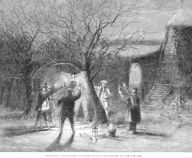 Stoke Gabriel Wassail returns on Saturday