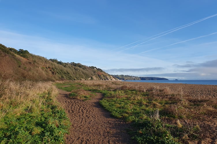 Shorelines by Alice Henderson