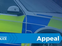 Bike rider injured in crash 