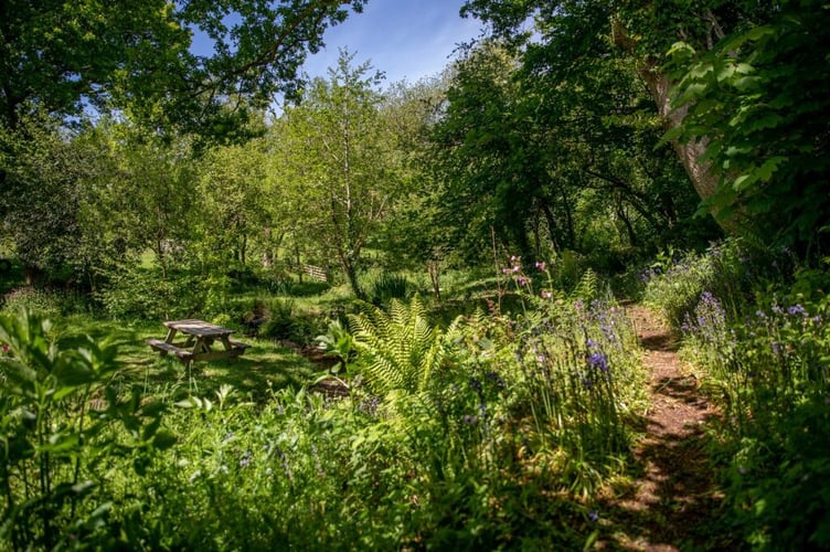 wood farm