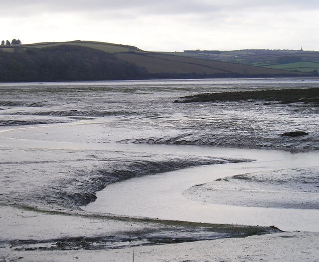 Nature Diary by Nigel Mortimer | Our key to Estuary Ecosystems