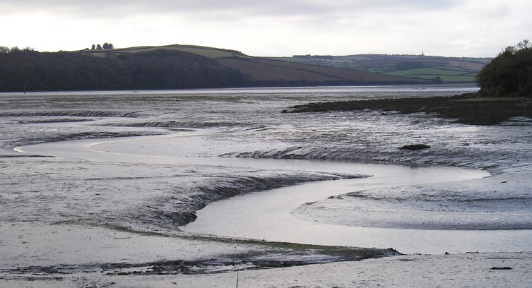 Mud, mud ... the stuff of our glorious estuaries - Nigel Mortimer