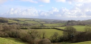 Hedgerow regulations to be brought into law to protect wildlife

