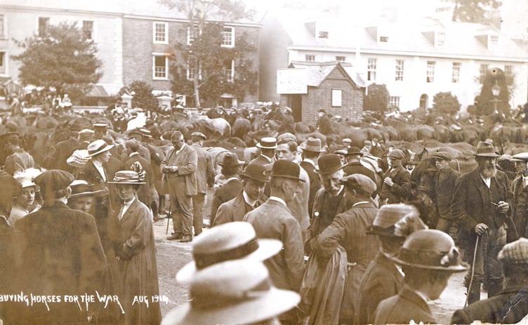 August 1914. Buying horses for WW1, shows a large crowd of people and horses on Quay area, Kingsbridge.