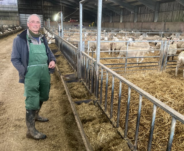 South Hams sheep farmer creates own breeds