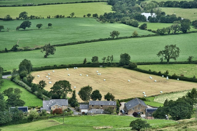 Caroline Snow Column | A land use plan for England