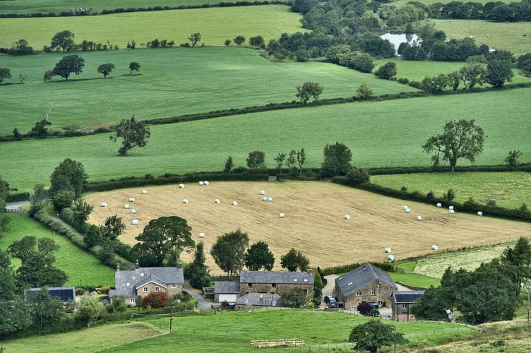 The framework will show the most valuable land for agriculture and discourage its use for housing, solar panels and onshore wind. Picture: Pixabay