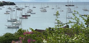 Nature Diary by Mike Hitch | Island life