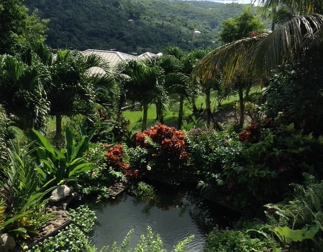 A view of Grenada from a private garden. Picture: Mike Hitch