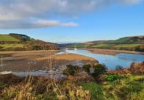 Village Voice | February 13