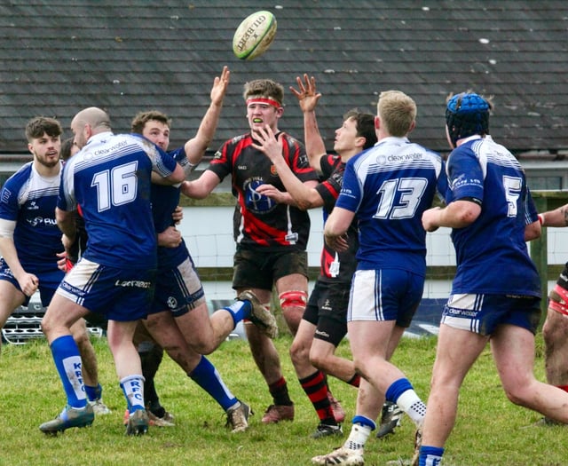 Home games aplenty for rugby rabble