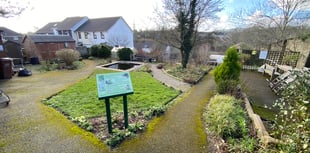 Kingsbridge Community Garden to host art and photography exhibition