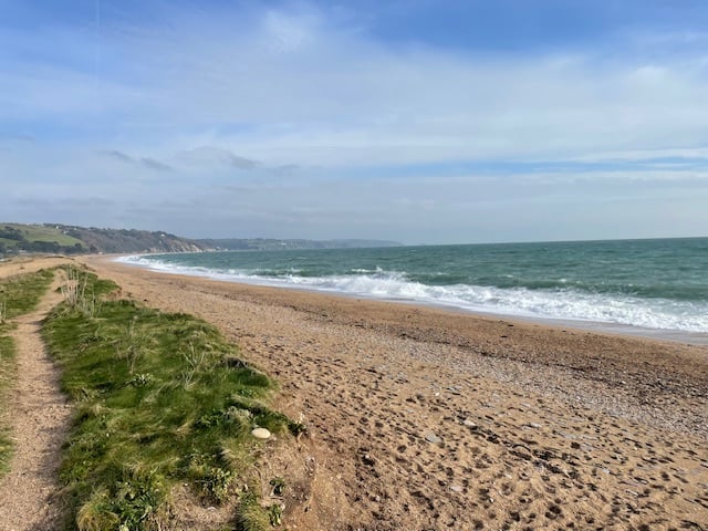 The easterly wind on Slapton Sands, neither good for man nor bird - Mike Hitch