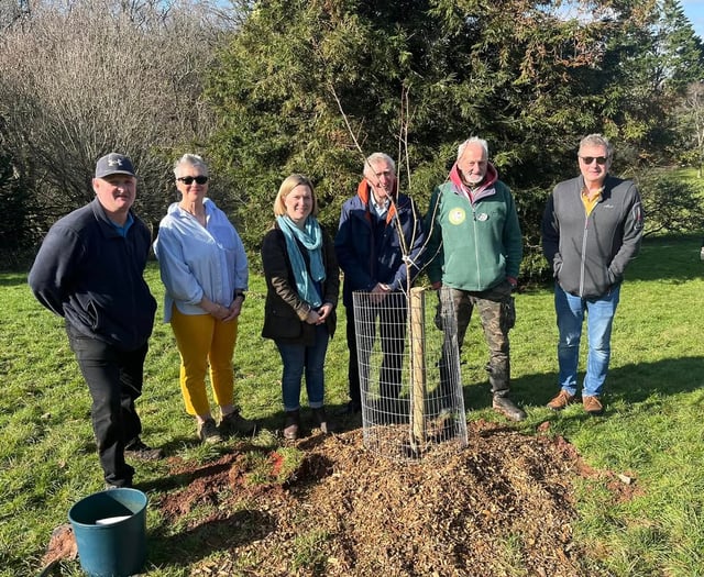 MP joins celebrations for Radford Arboretum anniversary