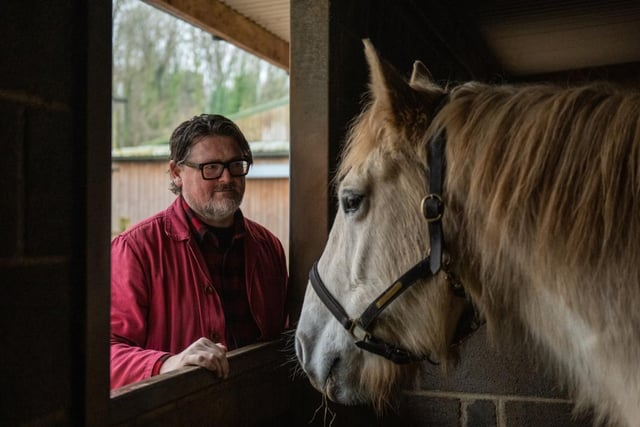 Tough times for horses and ponies