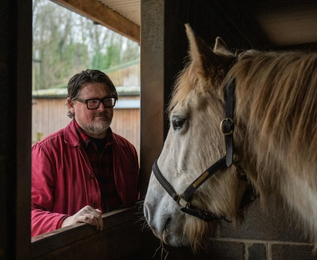 Tough times for horses and ponies