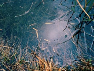 Exeter’s museum acquires photographic artwork of Dartmoor