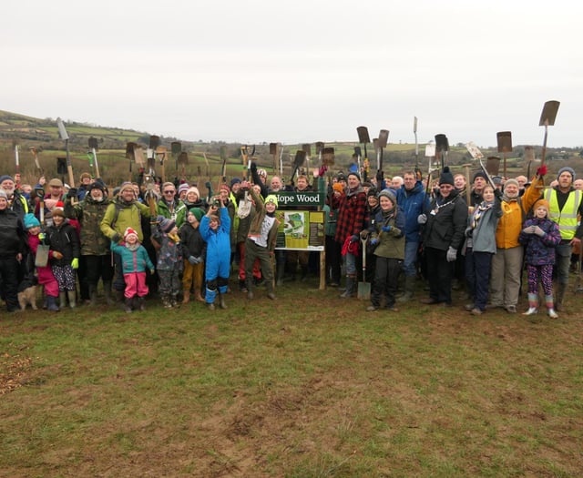 Building on Hope Wood's success: ambitious new initiative