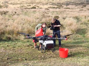 Drones plant 75,000 tree seeds in UK