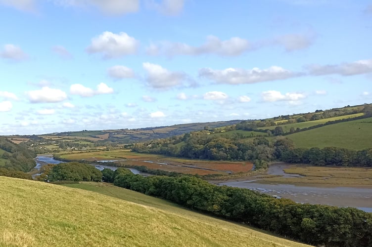Avon Estuary saltmarsh - one of the estuaries' nutrient mops - Nigel Mortimer