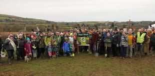 Celebrating Biodiversity: The success of Hope Wood