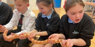 Dartmouth Academy partners with Animals 2 U Southwest