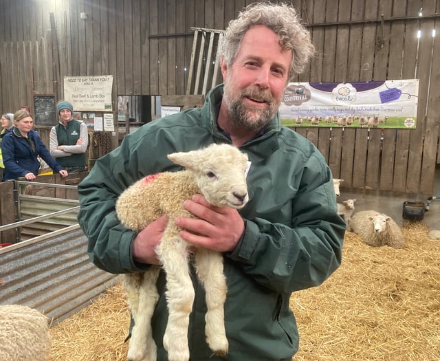Lambing Live 25 at Greenwell Farm