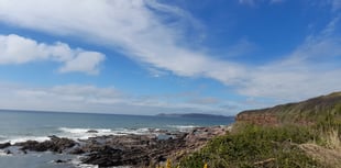 Discover invertebrates on South West coast walk