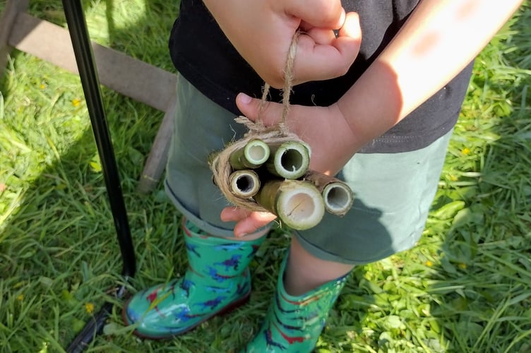 Tied bundles of bamboo make ideal homes for Mason Bees - Fiona van Es