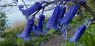 Nature Diary by Fiona van Es | Sunrise at Slapton